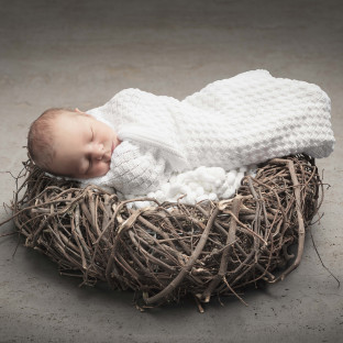 Babyfoto auf Nest